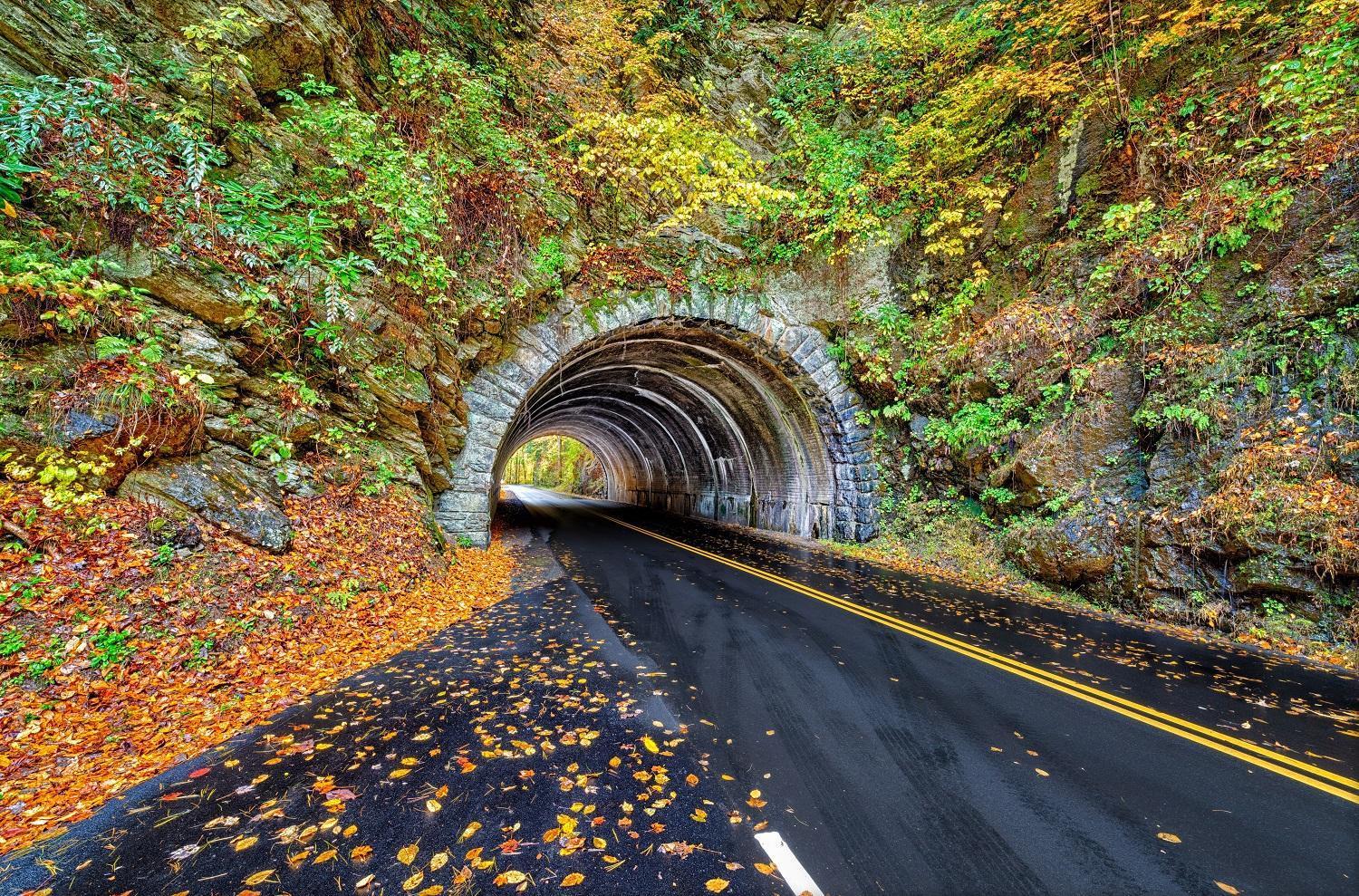 Bear Den, Hot Tub, 1089 Of Free Attraction Tickets For Each Paid Day, Dollywood And More! Сивиървил Екстериор снимка